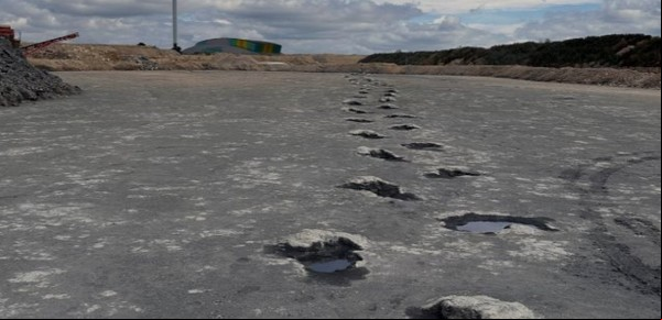Descubrieron en Inglaterra una “autopista de dinosaurios” de hace 166 millones de años