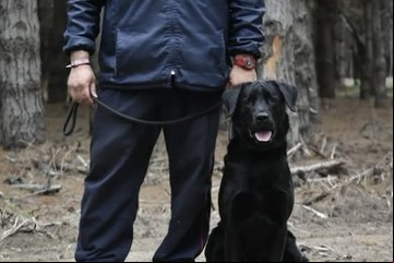 Los Bomberos Voluntarios de Almirante Brown juntan dinero para ayudar a su perro de rescate
