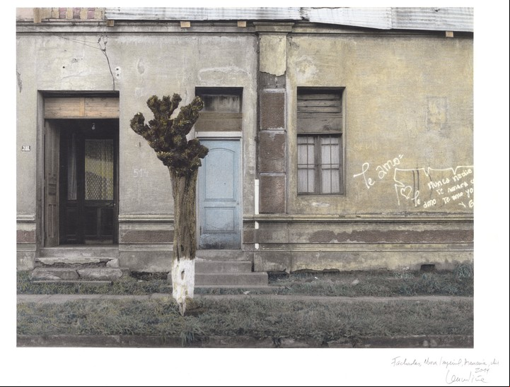 Fachada (2014), de Leonora Vicuña.