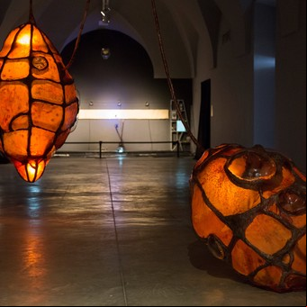 ‘Memorias en gestación’: arte, ciencia y tecnología en el Centro Cultural Recoleta