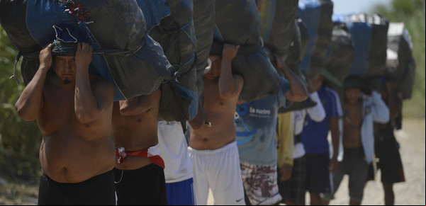 Polémica, exageraciones y grieta por el muro que era apenas un alambrado
