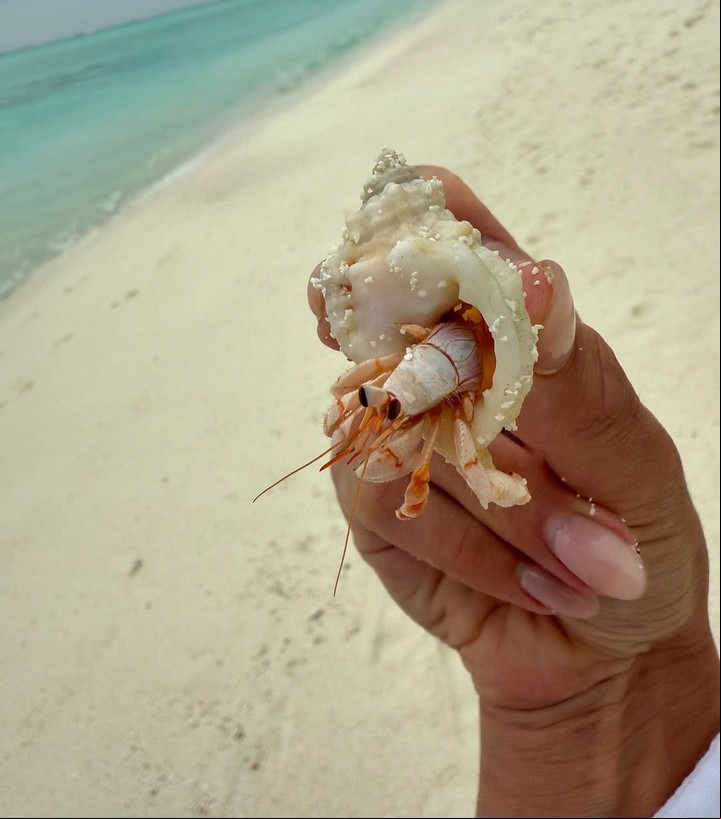 Las vacaciones de Laurita Fernández en las Islas Maldivas. Foto: Instagram.