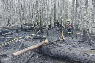 Denuncian que intentaron incendiar la casilla de un guardaparques en el Nahuel Huapi, a 300 metros de un camping clausurado 