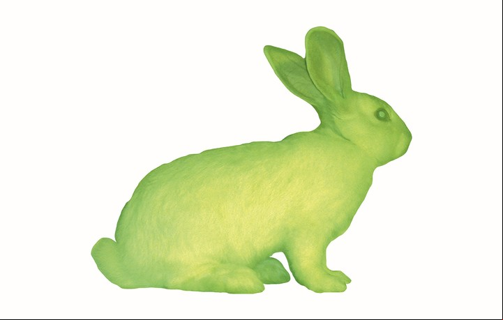 Eduardo Kac, GFP Bunny, 2000. Foto: cortesía Henrique Faria Fine Art, New York /MoMA.