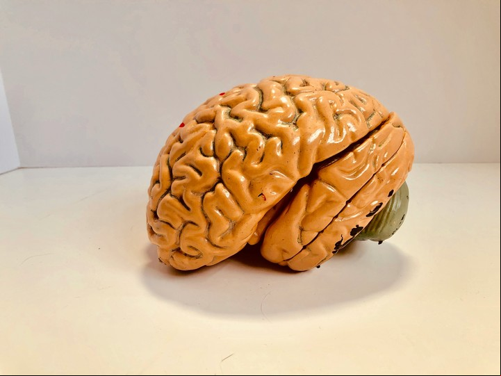 Cómo ejercitar el cerebro. Foto: Unsplash