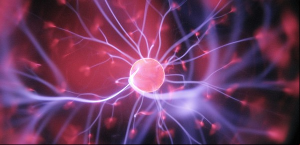 Lo que la ciencia revela sobre tu cerebro cuando mirás una película