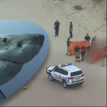 Un tiburón mató a una chica de 17 años que nadaba tranquila en una playa de surf