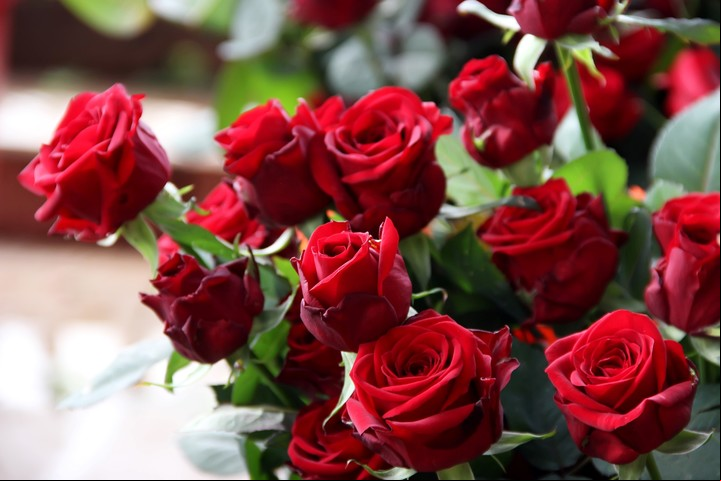 Los ramos de rosas rojas son los más solicitados para el Día de los Enamorados. Foto: Shutterstock