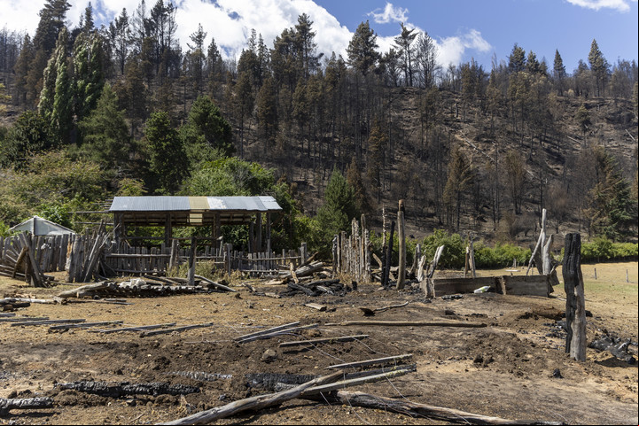 La chacra de la familia Inalef, tras los incendios en el Mallín Ahogado, El Bolsón. Foto: Euge Neme