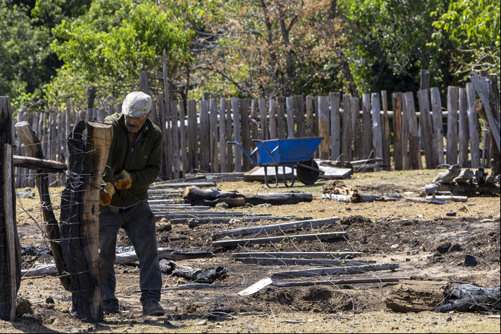 Mario Inalef recompone los alambrados de su chacra tras el voraz incendio en El Bolsón. Foto: Euge Neme