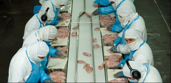 Argentina logró la apertura del mercado de Corea para la exportación de carne aviar