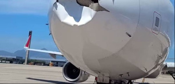 Un avión chocó contra un pájaro y tuvieron que suspender el vuelo: las impactantes imágenes