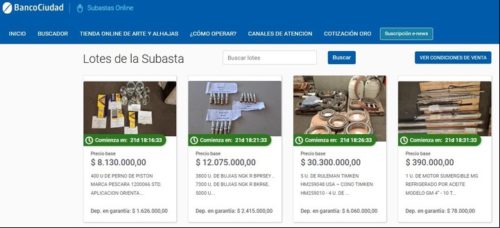 El remate se realizará de manera online a través de la página de subastas del Banco Ciudad. Foto: subastas.bancociudad.com.ar.