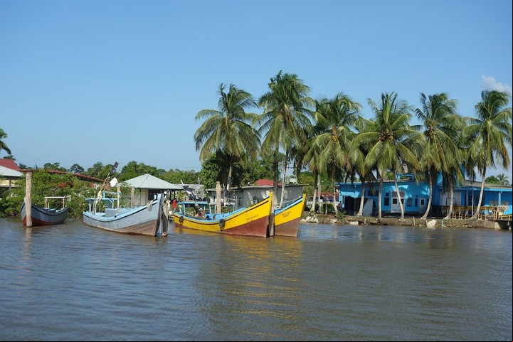 El río Coppename y otros ríos de la región proporcionan agua para la biodiversidad de la Reserva de Surinam. Foto: Pixabay.