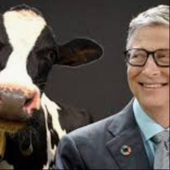 Los Bill Gates de cada día en el debate sobre veganos, ganadería y ambiente