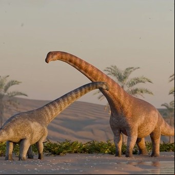 Científicos del Conicet descubrieron un nuevo dinosaurio herbívoro de 75 millones de años en la Patagonia: el Titán de la Sal