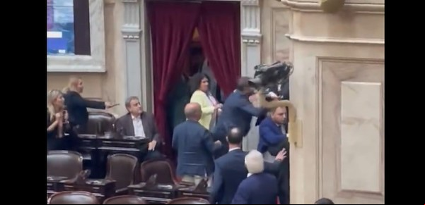 Los videos y las fotos del escándalo en Diputados: trompadas, gritos y la interna libertaria al rojo vivo 