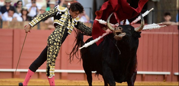 Bafici 2025: la intimidad de un torero, en la lente del catalán Albert Serra