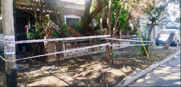 Rescatan 53 mascotas maltratadas en Ramos: en la casa había animales muertos