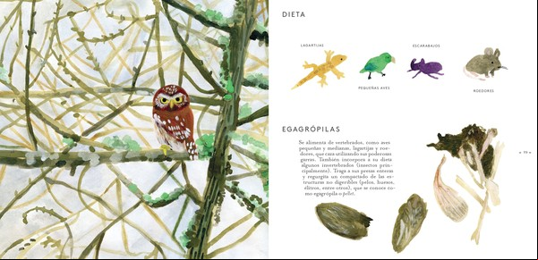 Los pájaros de Leonardo da Vinci: libros para chicos que vuelan como genios