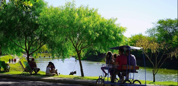 Escapadas a menos de 200 km de Buenos Aires: una pulpería de 1830, un bosque encantado y restaurantes de campo