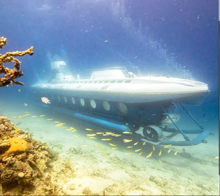 El submarino turítico Sindbad en una recorrida a 25 metros de profundidad. Foto: sindbadsubmarines.com