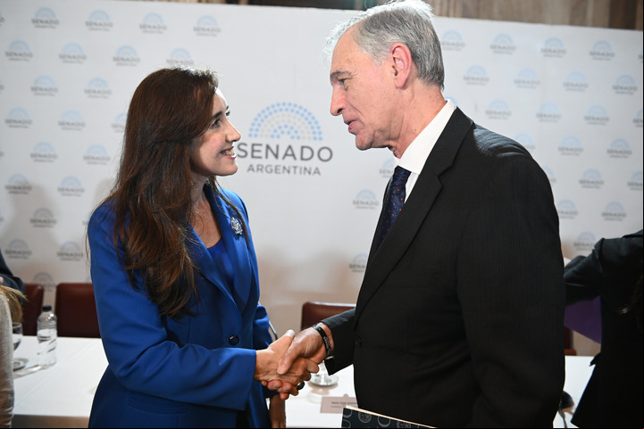 Se realizó el seminario Día del niño por nacer. Buenos Aires, Argentina, el 25 de marzo de 2025. (Fotos: Comunicación Senado)