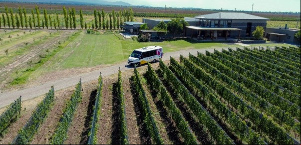 Cómo es el Wine Bus, una opción express y low cost para recorrer las bodegas de Mendoza