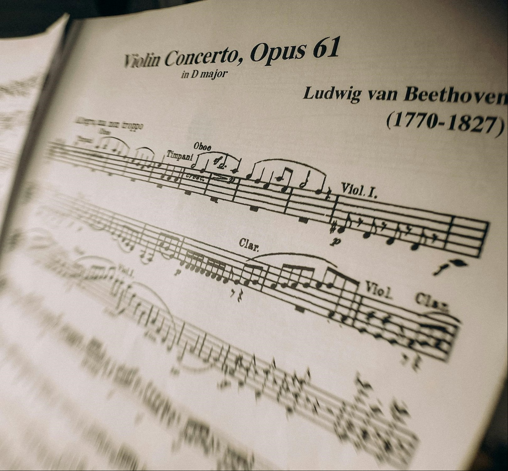 Cómo estimulaba la creatividad Ludwig Van Beethoven. Foto: Pexels
