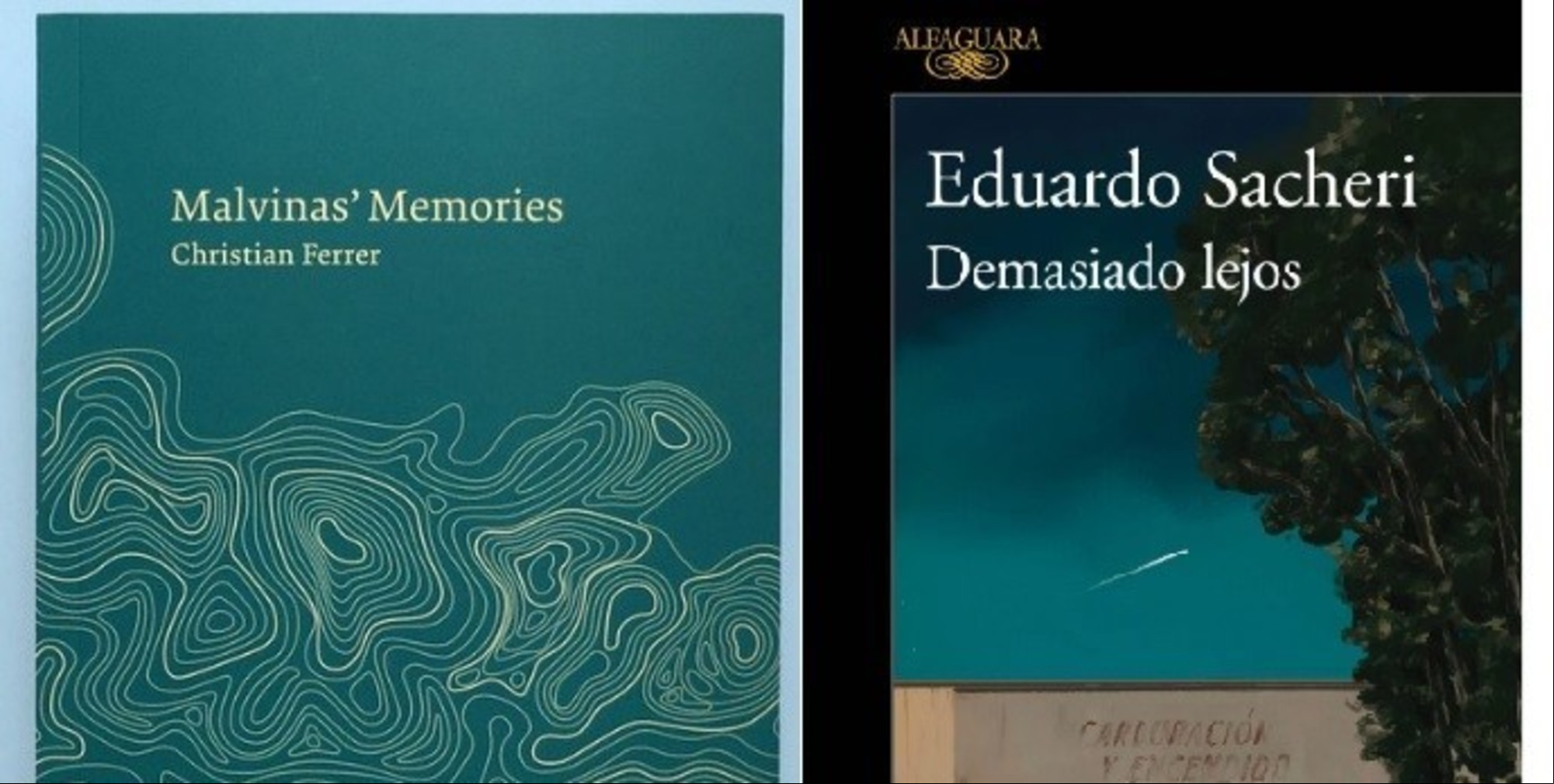 De la euforia a la herida abierta: cómo la literatura argentina sigue revisitando Malvinas