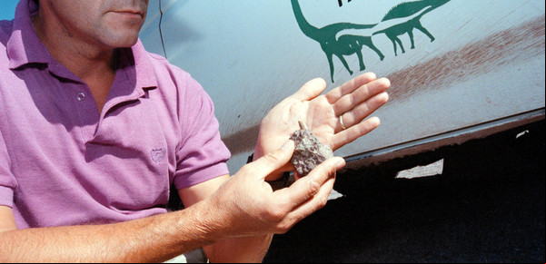 Descubren huevos fósiles de dinosaurios y un cocodrilo nunca visto en América: un hallazgo de 100 millones de años que reescribe la historia