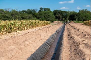 “Fabrican” agua y producen semillas de mayor calidad y menor huella ambiental