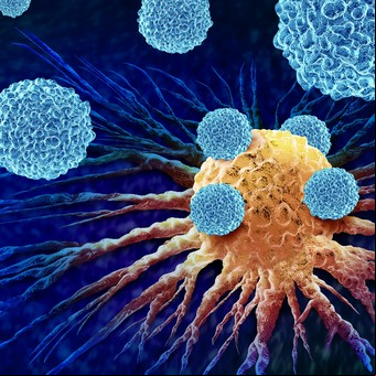 Descubren en las células un "gen maestro" del cáncer, lo anulan y logran que los tumores se reduzcan