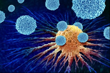 Descubren en las células un "gen maestro" del cáncer, lo anulan y logran que los tumores se reduzcan
