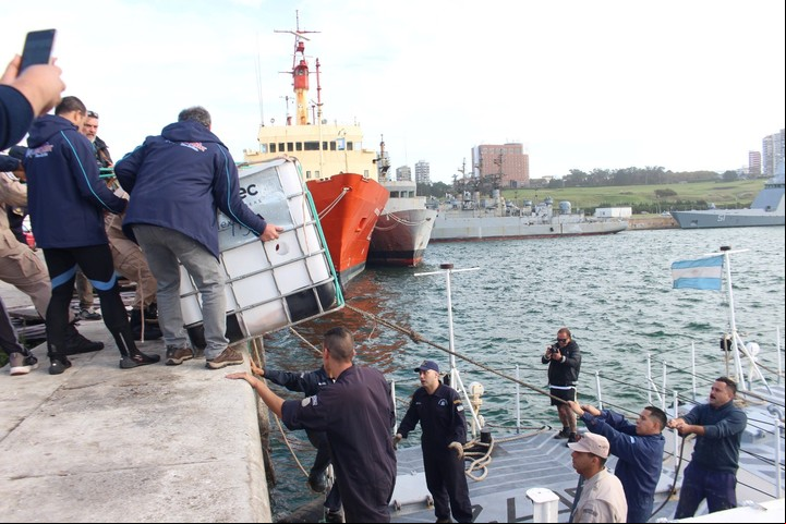 La liberación del tortugo Jorge se hizo en una "ventana" climática y de las corrientes marinas.