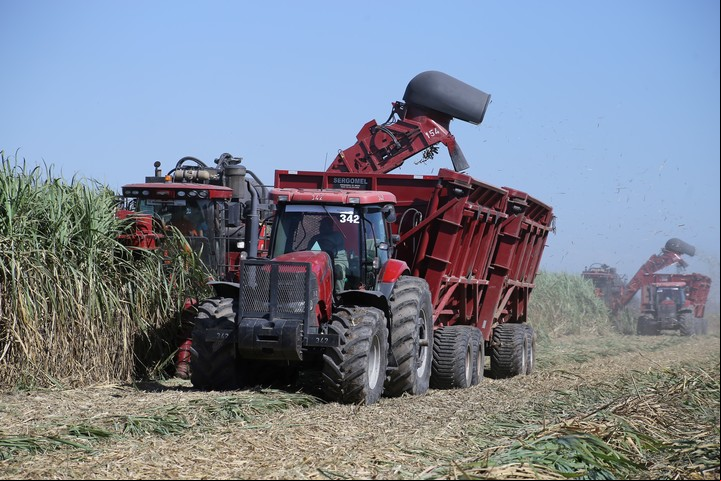 Se produjeron 2,3 millones de toneladas en la última zafra.