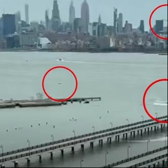 "La tuerca de Jesús": la nueva teoría sobre la tragedia del helicóptero que se estrelló en el Río Hudson