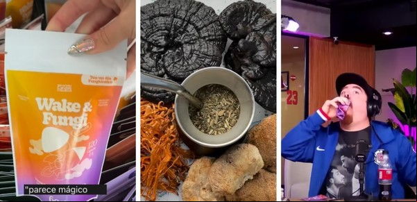 Los “hongos para el estrés” que son furor en redes: ¿moda pasajera o alivio real?