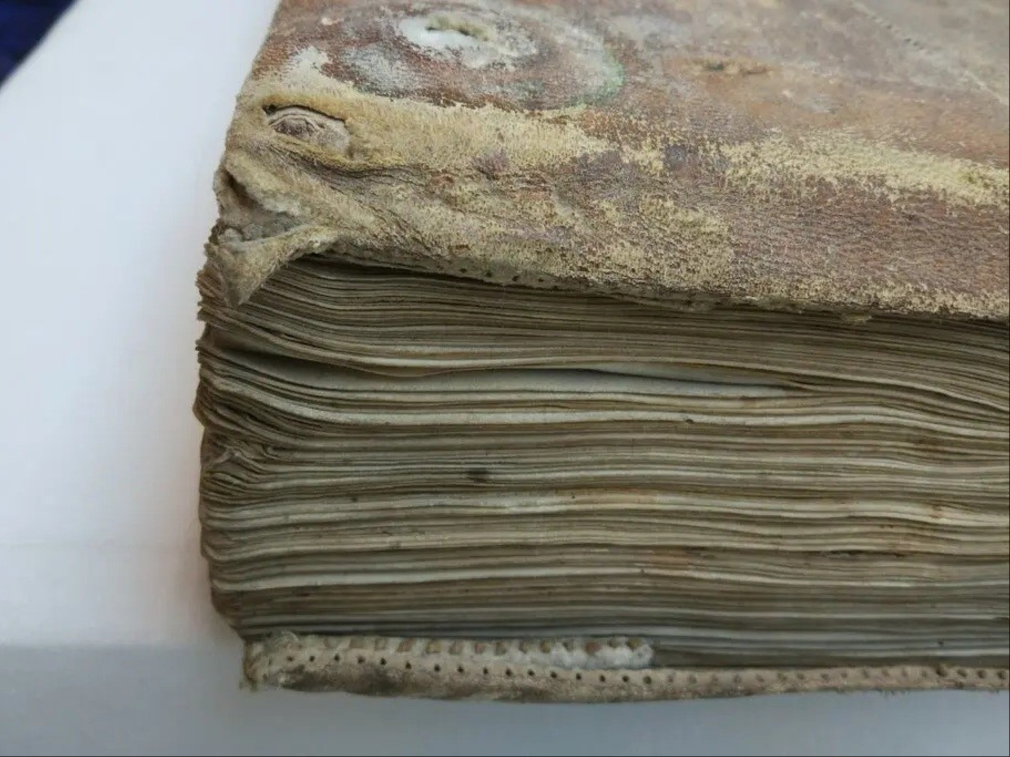 ¿Cuál es el manuscrito más antiguo del mundo?