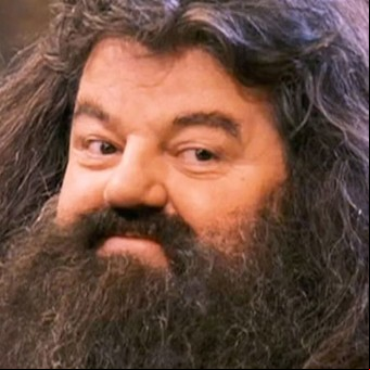 La serie de Harry Potter ya tiene a su nuevo Hagrid: “Robbie, no te decepcionaré”