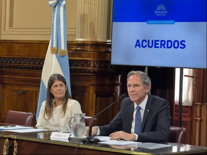El embajador ante Estados Unidos, Alejandro Alec Oxenford y la presidenta de la Comisión de Acuerdos del Senado en el debate sobre la confirmación del pliego