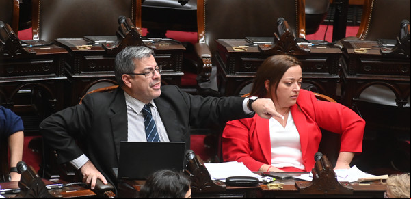 Otra vez tensión en el Congreso: los diputados K, a los gritos contra los radicales y contra Lilia Lemoine por filmar con su celular