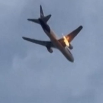 "No es un ave": el insólito animal que terminó en el motor de un avión y causó un incendio en pleno vuelo