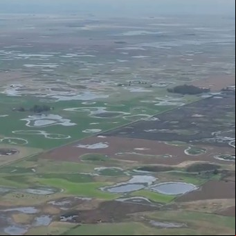 Vivir aislados: las inundaciones siguen complicando a una localidad bonaerense