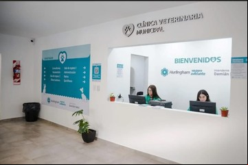 Atienden gratis a mascotas en una clínica veterinaria en Hurlingham