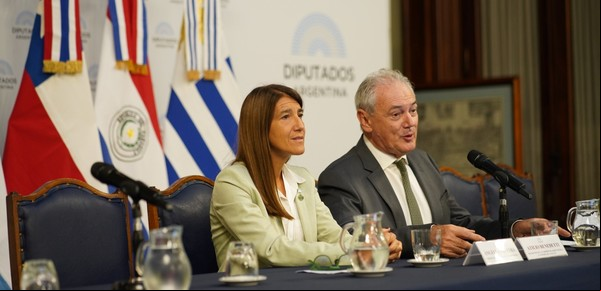 "Habla de la virtud": un diputado puso como ejemplo a Brasil para impulsar la agenda del agro en el Congreso