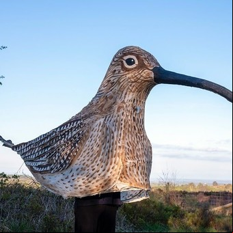 Caminó 80 kilómetros disfrazado de ave para alertar sobre una especie en peligro de extinción
