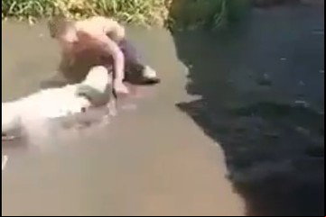 Entró a la jaula de un cocodrilo creyendo que era mecánico y terminó ferozmente mordido