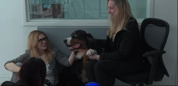 Javier Milei y sus medidas, EN VIVO: Karina Milei llevó a una entrevista al perro Thor y reveló que tiene horario de trabajo 