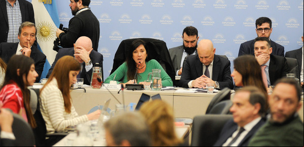 Tras aceptar cambios, el oficialismo consiguió dictamen al proyecto para bajar la edad de imputabilidad